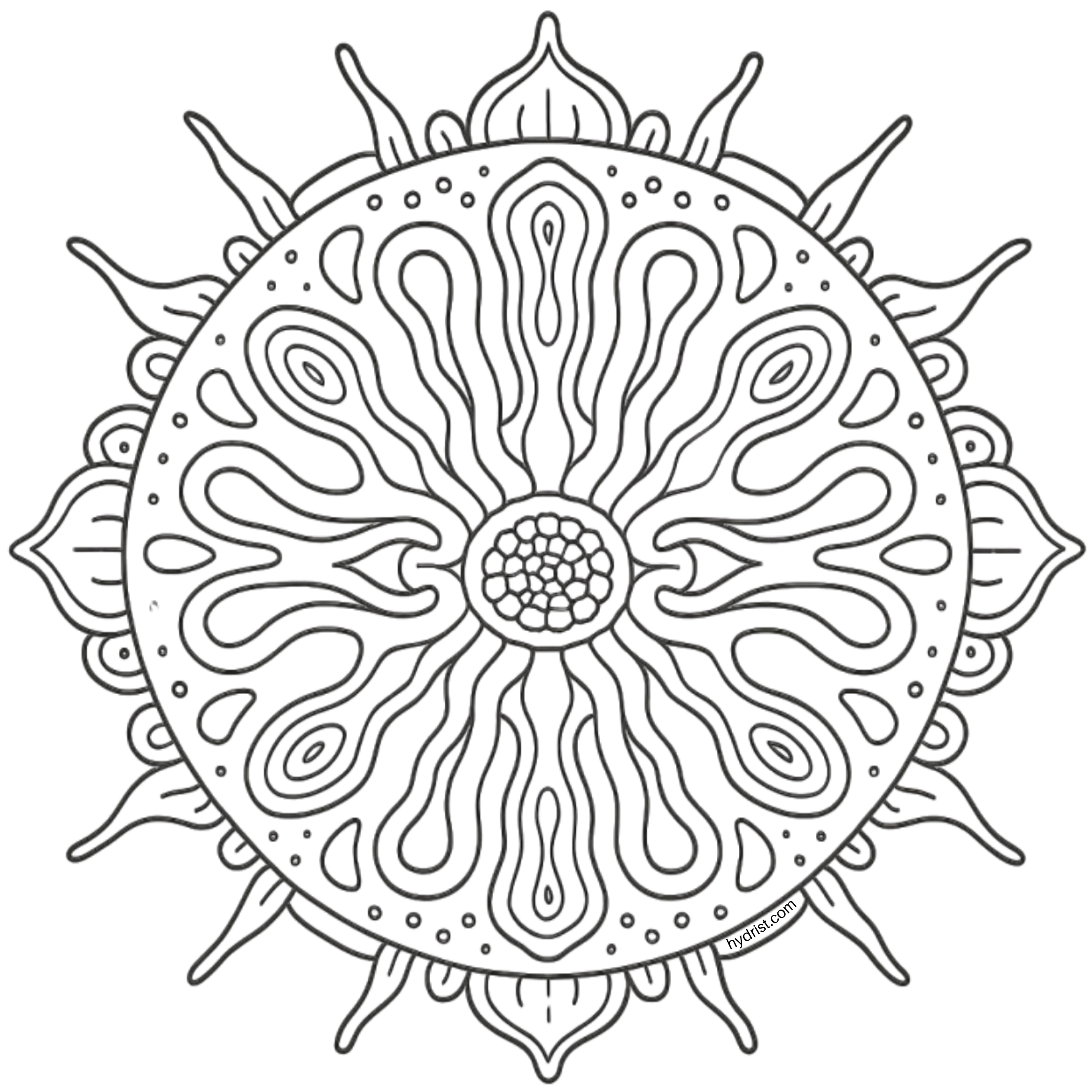 HYDRIST mandala. a stylized cross-section of the hydra, the biological inspiration behind the HYDRIST name and brand identity.